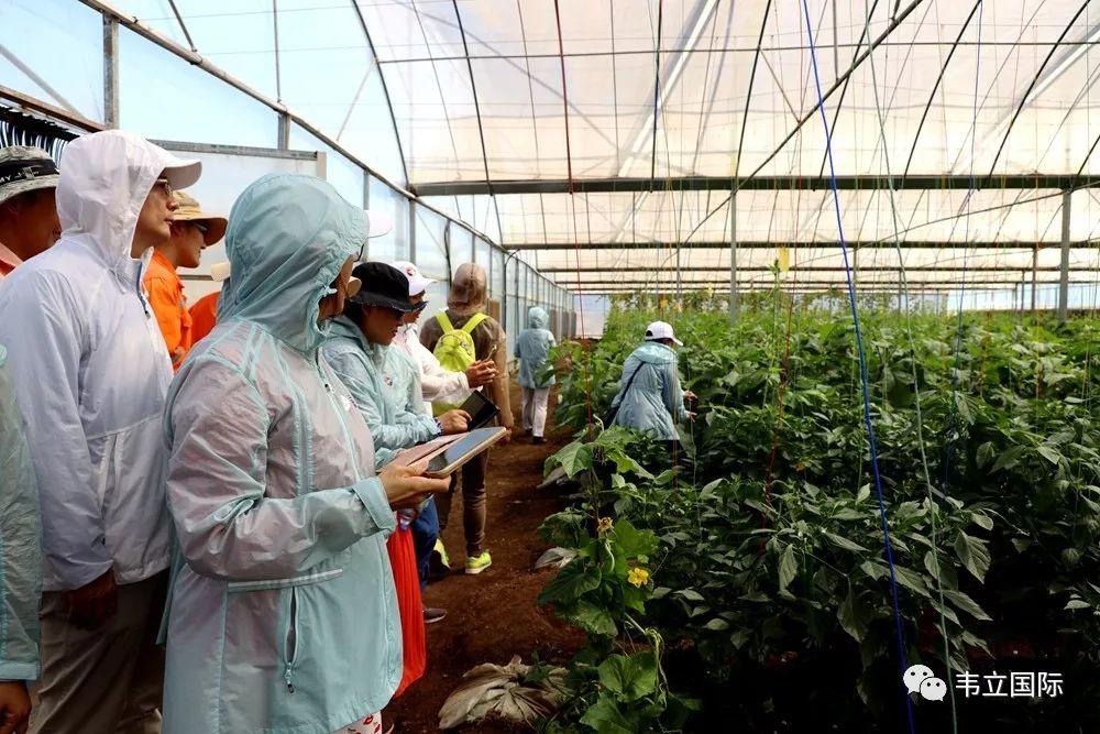 赢联盟参访：我懂得了你们的幸福